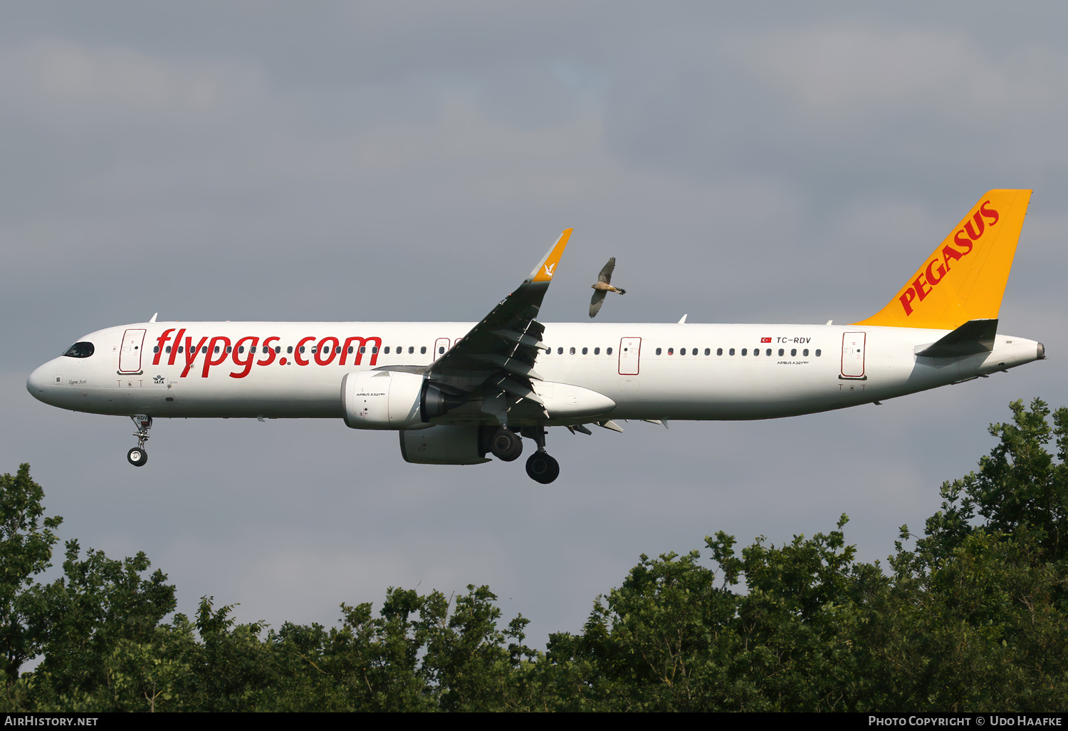 Aircraft Photo of TC-RDV | Airbus A321-251NX | Pegasus Airlines | AirHistory.net #814624