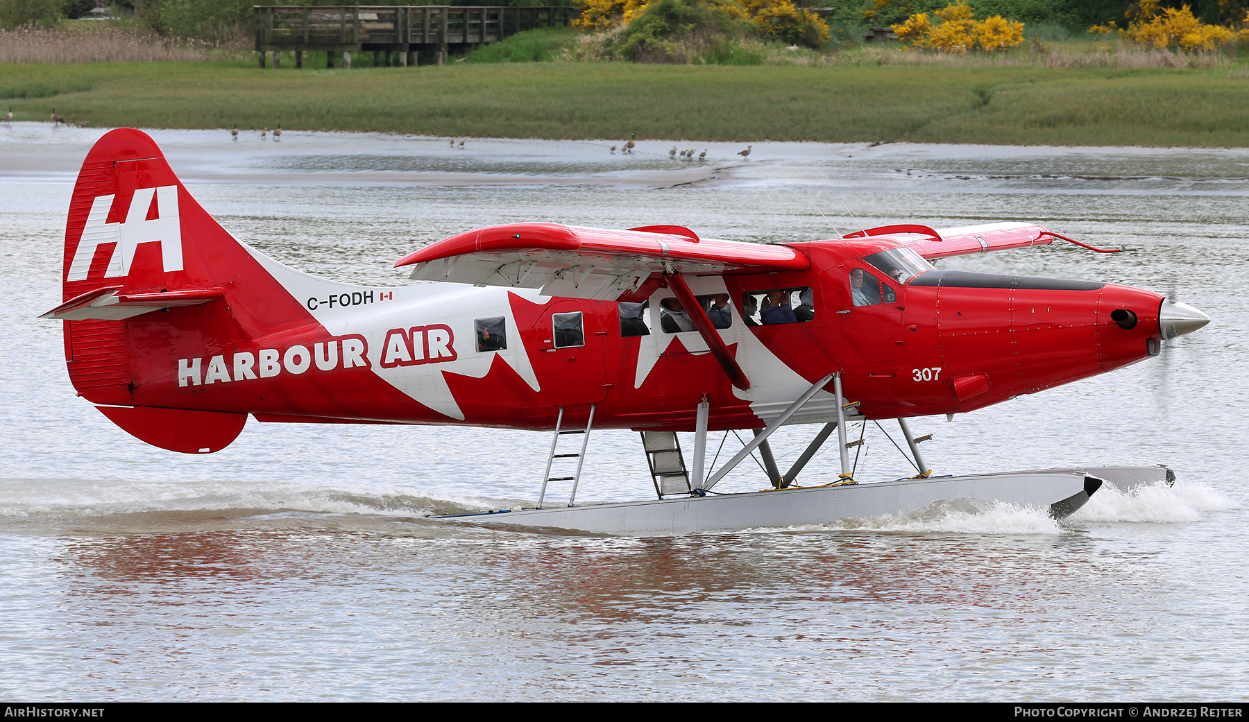 Aircraft Photo of C-FODH | Vazar DHC-3T Turbine Otter | Harbour Air | AirHistory.net #814809