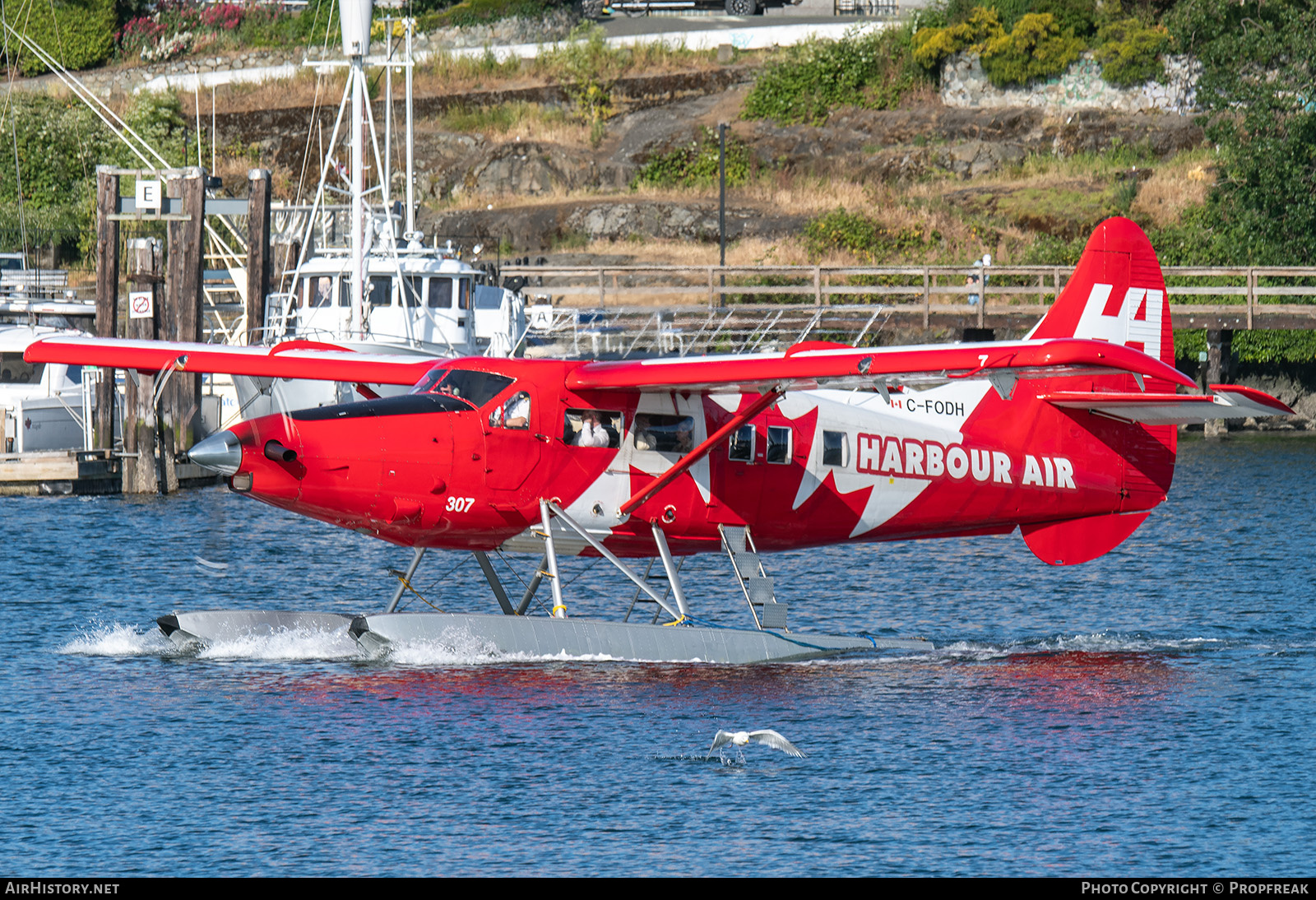 Aircraft Photo of C-FODH | Vazar DHC-3T Turbine Otter | Harbour Air | AirHistory.net #815501