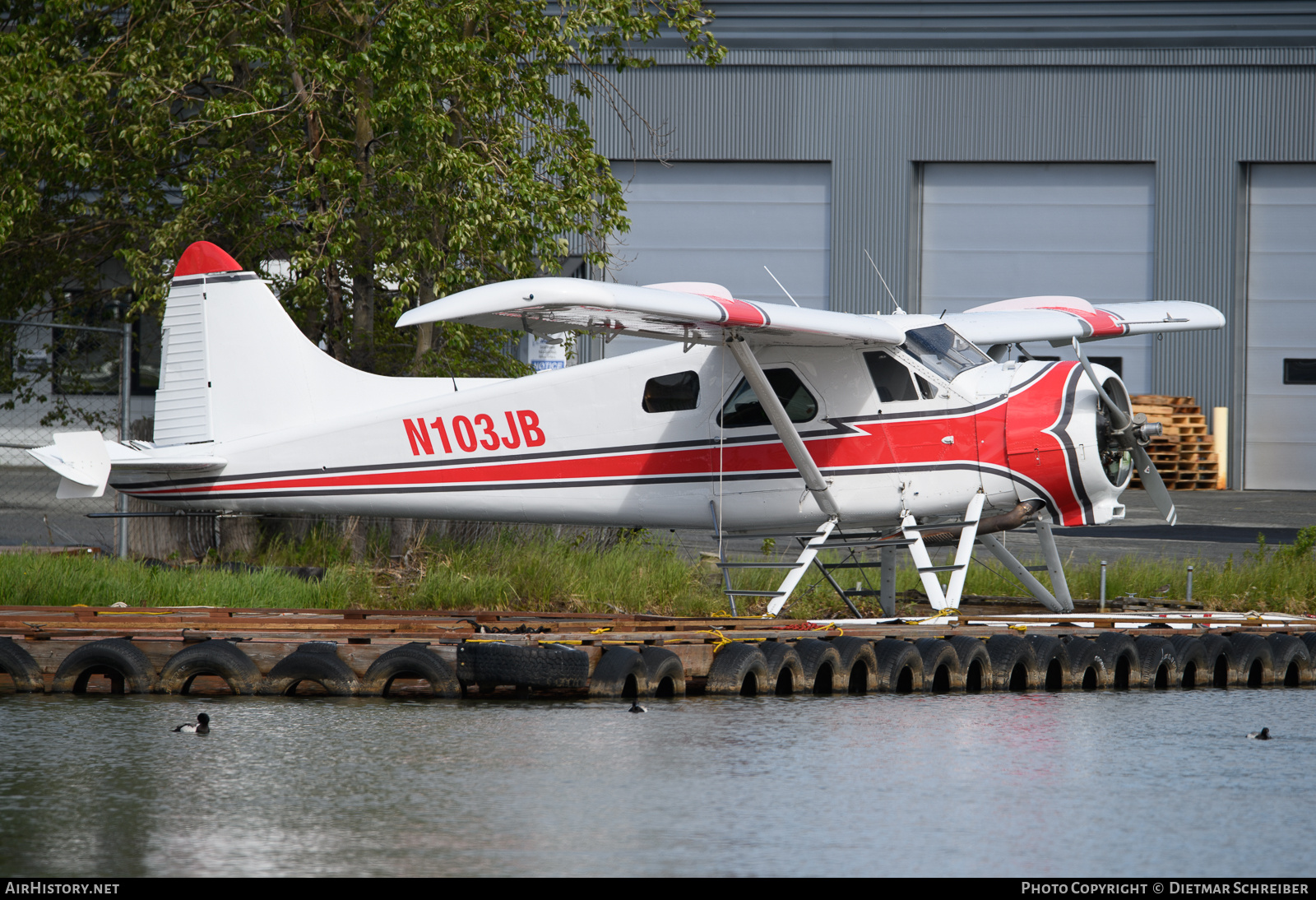 Aircraft Photo of N103JB | De Havilland Canada DHC-2 Beaver Mk.1 | AirHistory.net #817494
