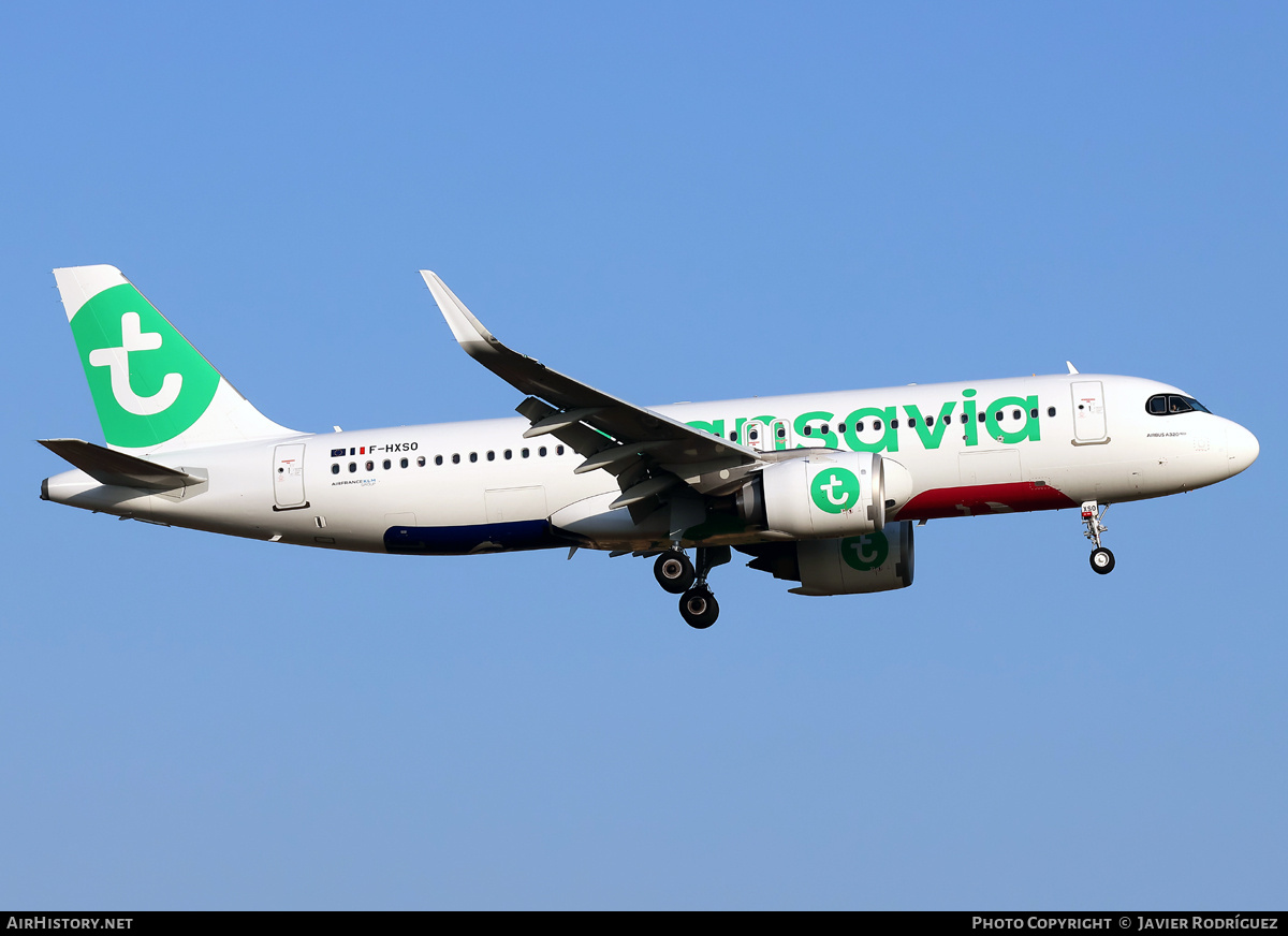 Aircraft Photo of F-HXSO | Airbus A320-252N | Transavia | AirHistory.net #819727