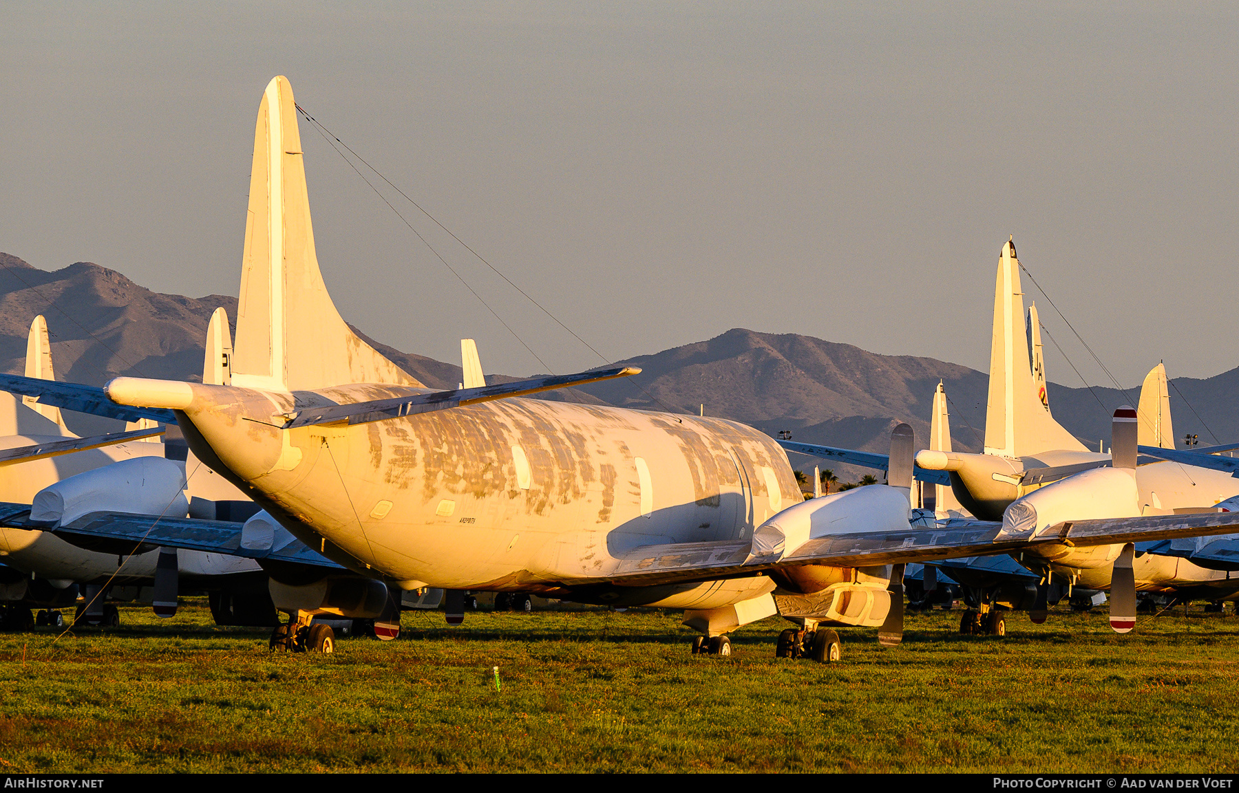 Aircraft Photo of 151371 | Lockheed TP-3A Orion | USA - Navy | AirHistory.net #819771