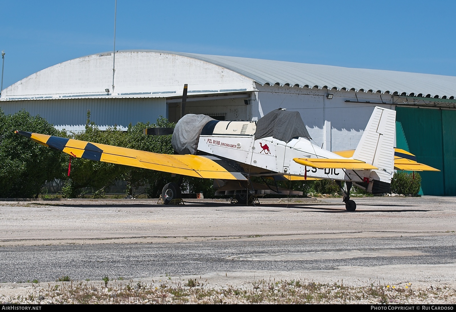 Aircraft Photo of CS-DIC | PZL-Mielec M-18 Dromader | AirHistory.net #820401