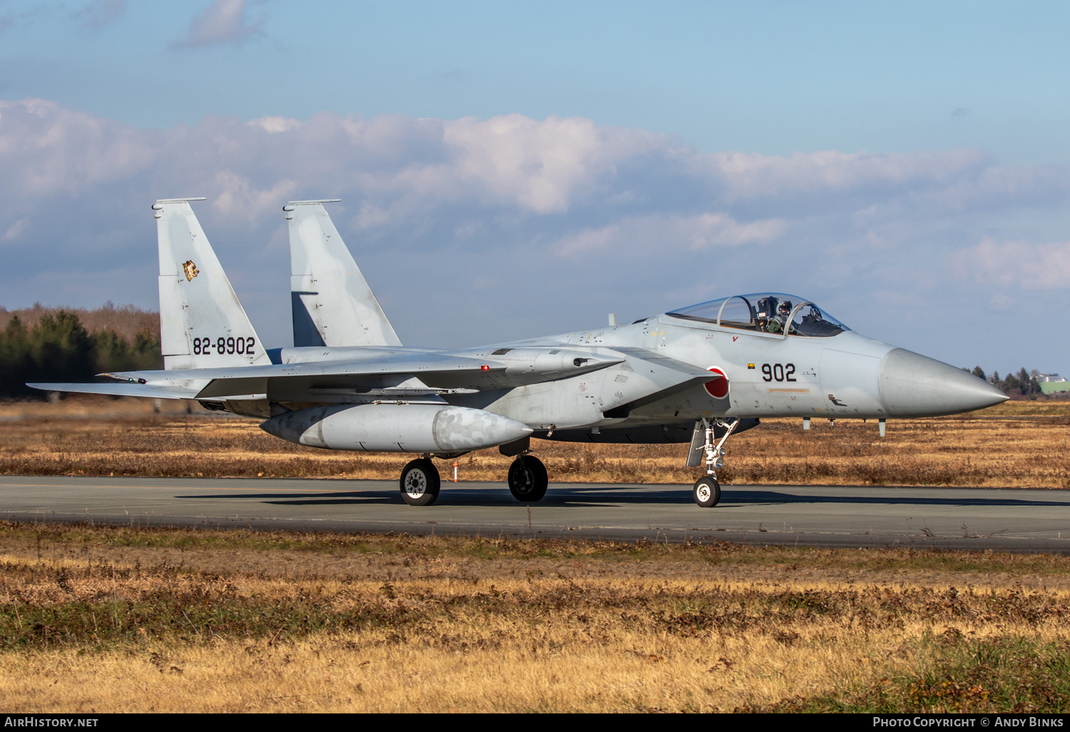 Aircraft Photo of 82-8902 | McDonnell Douglas F-15J Eagle | Japan - Air Force | AirHistory.net #820505