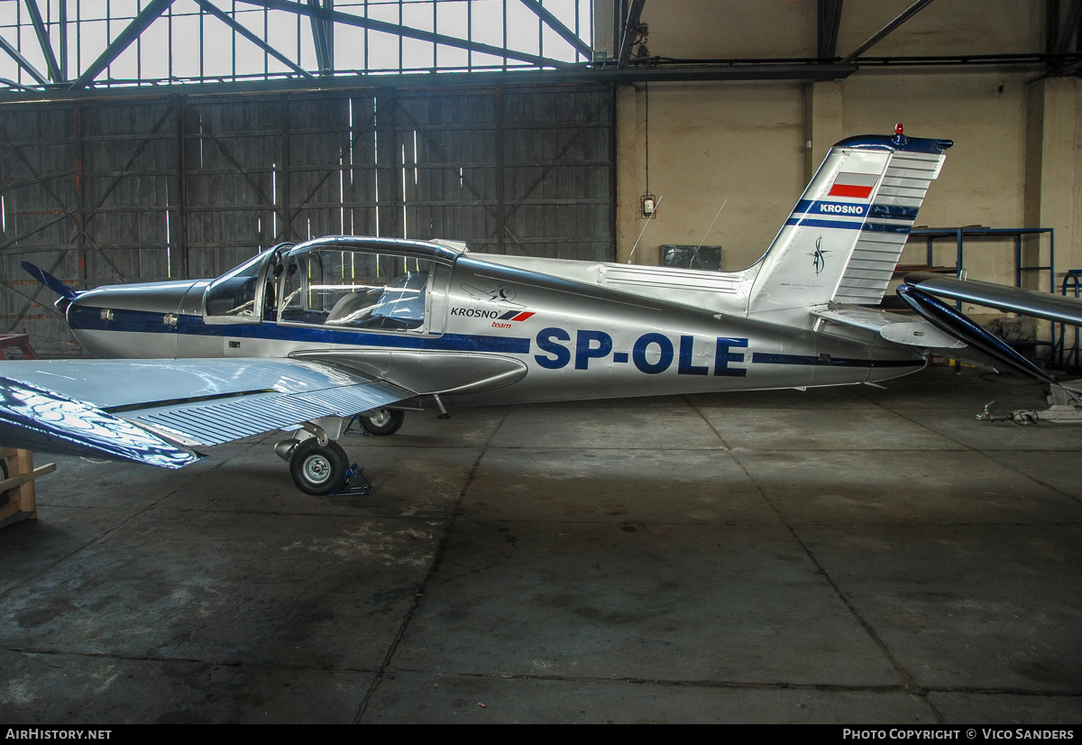Aircraft Photo of SP-OLE | Socata MS-883 Rallye 115 | AirHistory.net #821638