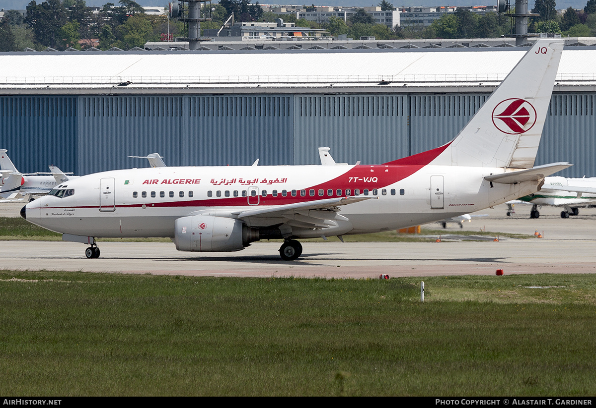 Aircraft Photo of 7T-VJQ | Boeing 737-6D6 | Air Algérie | AirHistory.net #821831