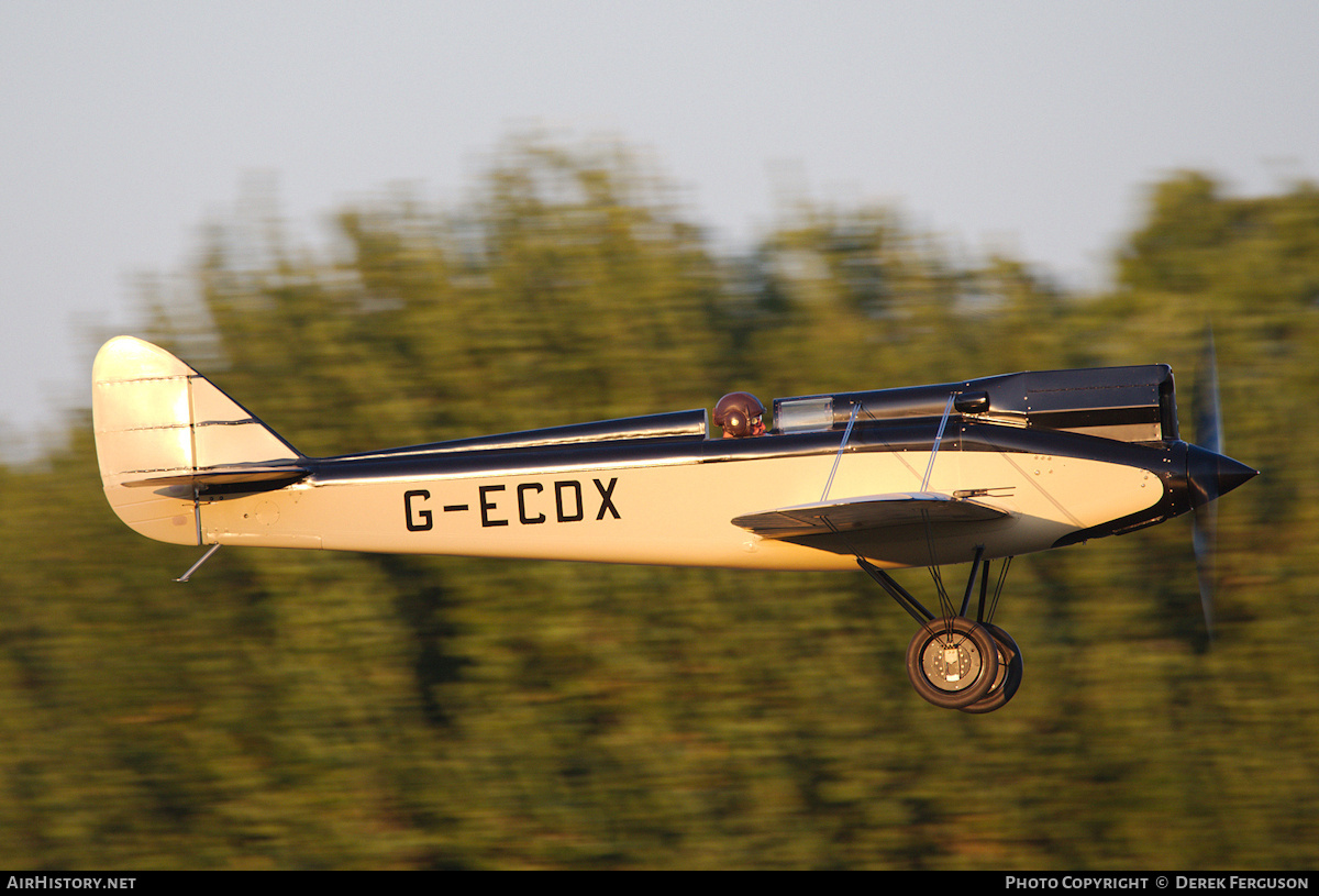 Aircraft Photo of G-ECDX | De Havilland D.H. 71 Tiger Moth | AirHistory.net #821847