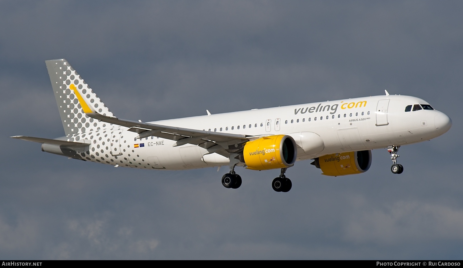 Aircraft Photo of EC-NAE | Airbus A320-271N | Vueling Airlines | AirHistory.net #822113