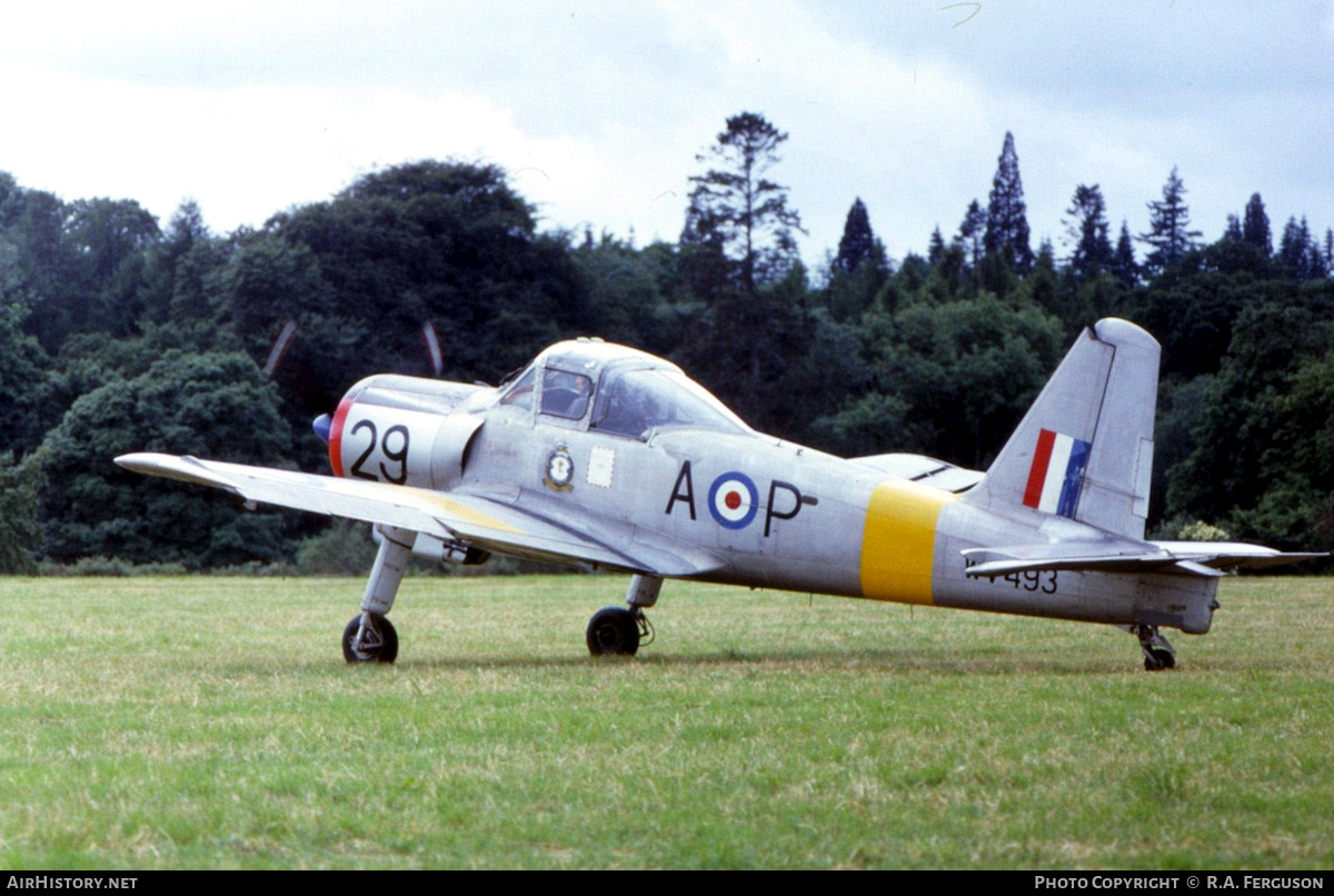 Aircraft Photo of WV493 / G-BDYG | Percival P.56 Provost T1 | AirHistory.net #822455