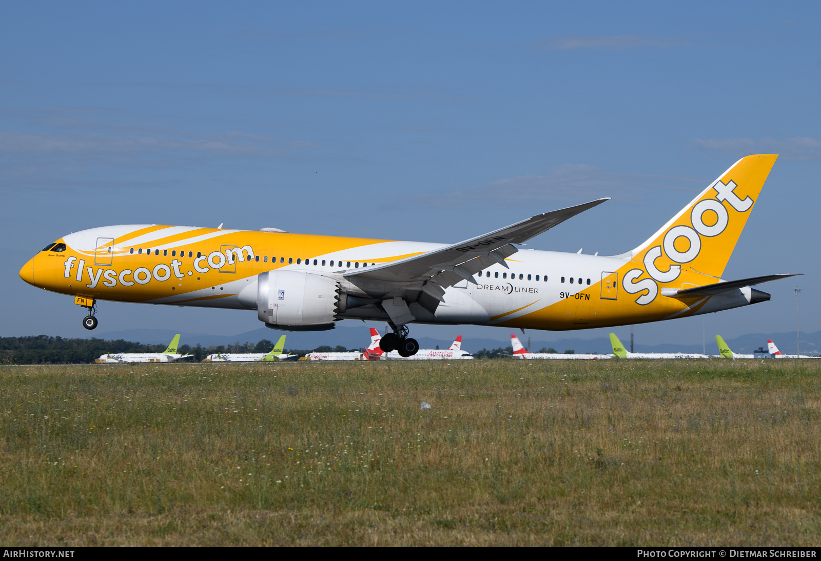 Aircraft Photo of 9V-OFN | Boeing 787-8 Dreamliner | Scoot | AirHistory.net #823235