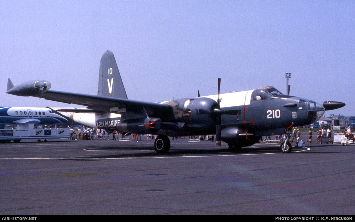 Aircraft Photo of 210 | Lockheed SP-2H Neptune | Netherlands - Navy | AirHistory.net #824726