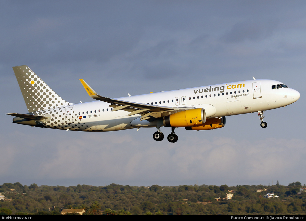Aircraft Photo of EC-OKJ | Airbus A320-232 | Vueling Airlines | AirHistory.net #824832