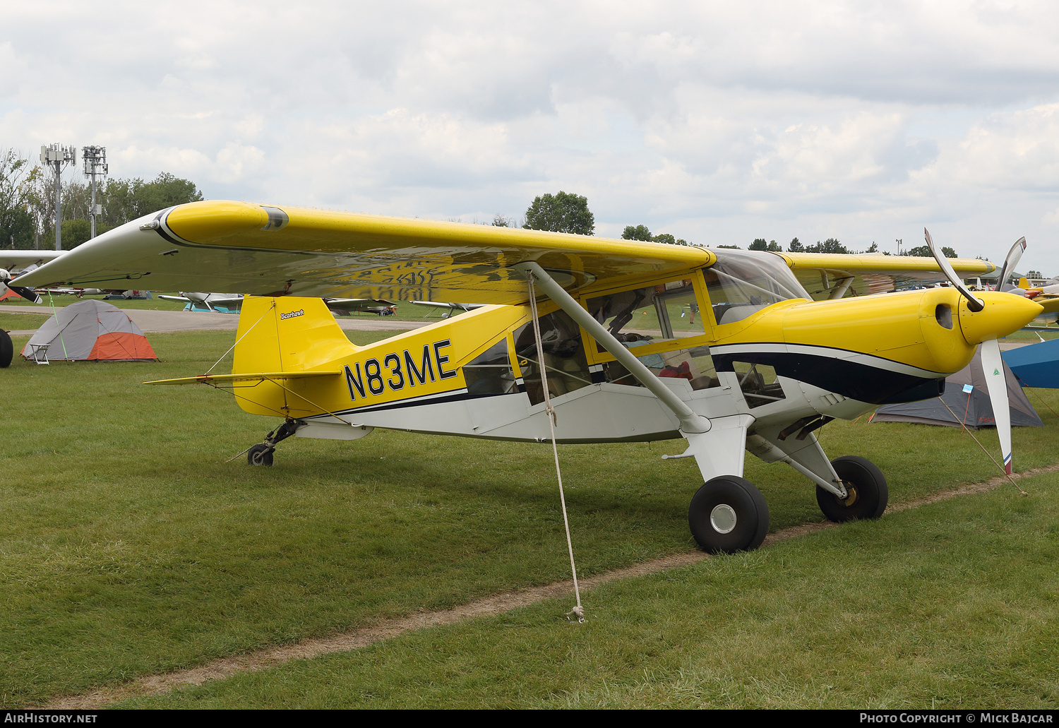 Aircraft Photo of N83ME | AviPro Bearhawk | AirHistory.net #824927