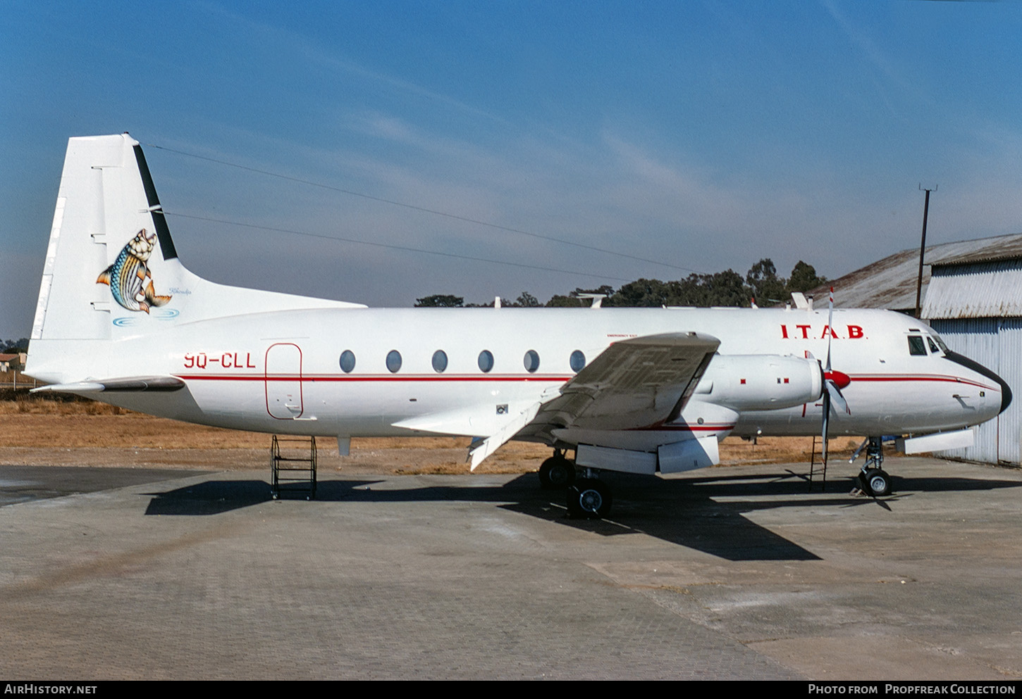 Aircraft Photo of 9Q-CLL | Hawker Siddeley HS-748 Andover CC.2 | ITAB - International Trans Air Business | AirHistory.net #825319