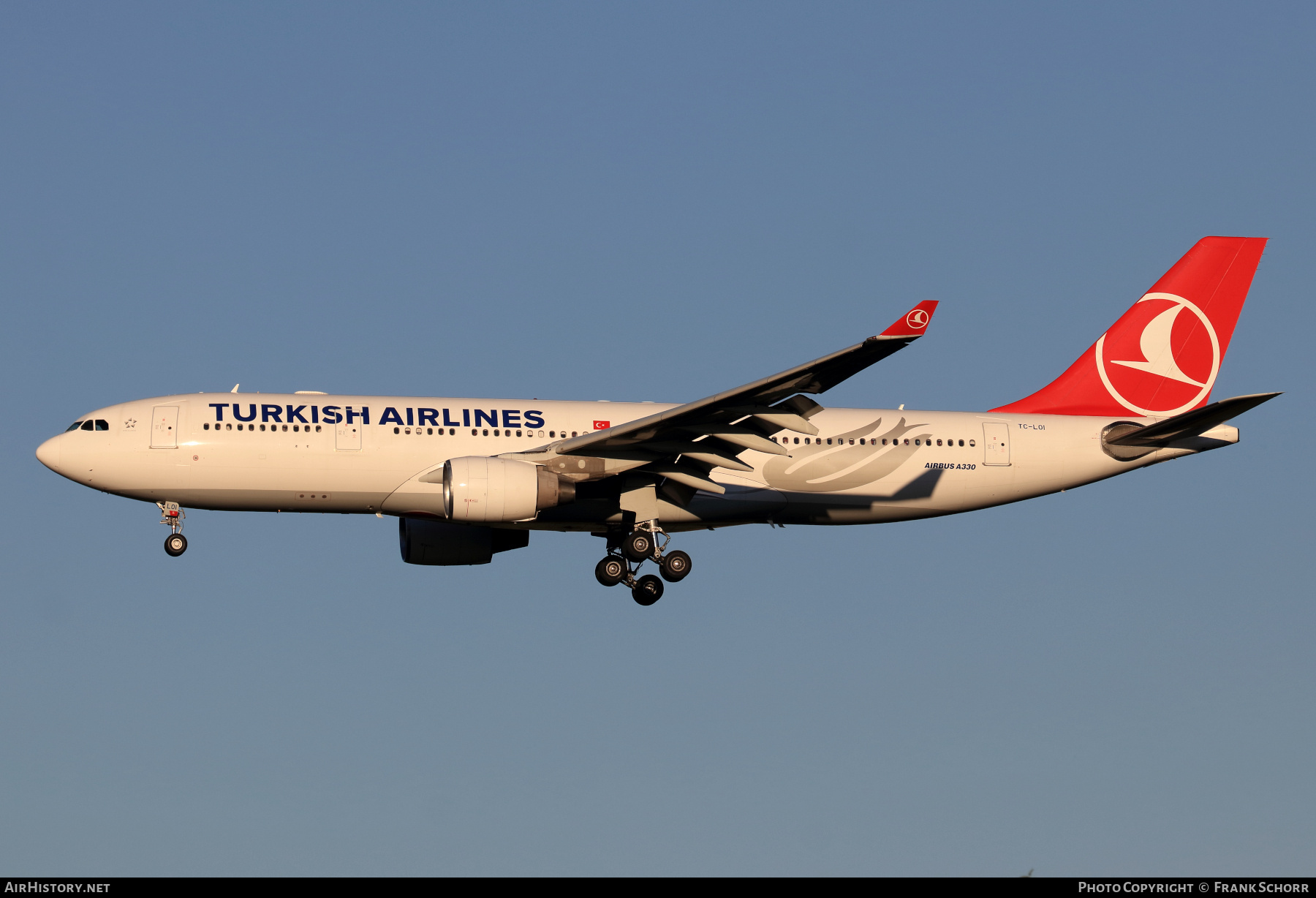 Aircraft Photo of TC-LOI | Airbus A330-223 | Turkish Airlines | AirHistory.net #825436