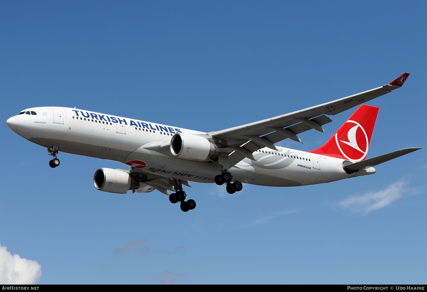 Aircraft Photo of TC-JIP | Airbus A330-223 | Turkish Airlines | AirHistory.net #825984