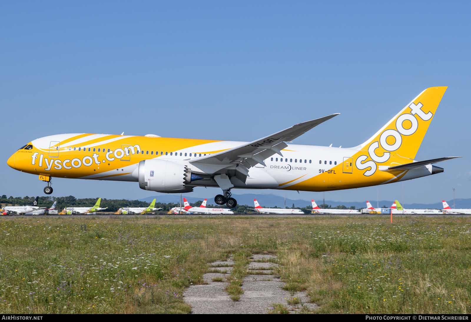 Aircraft Photo of 9V-OFL | Boeing 787-8 Dreamliner | Scoot | AirHistory.net #827282
