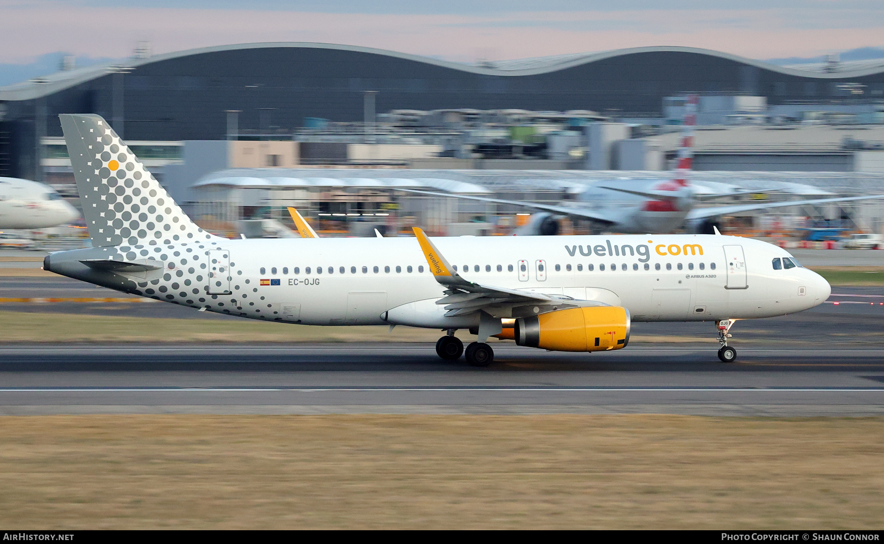 Aircraft Photo of EC-OJG | Airbus A320-232 | Vueling Airlines | AirHistory.net #827753