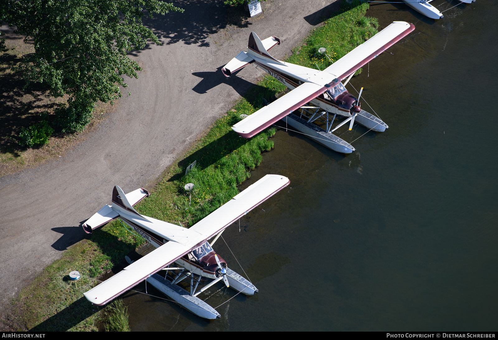 Aircraft Photo of N600NL | De Havilland Canada U-6A Beaver | AirHistory.net #829627