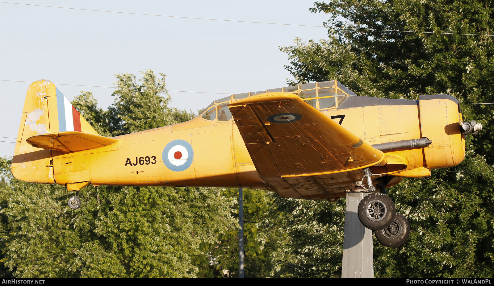 Aircraft Photo of AJ693 | North American NA-66 Harvard Mk2 | Canada - Air Force | AirHistory.net #831016