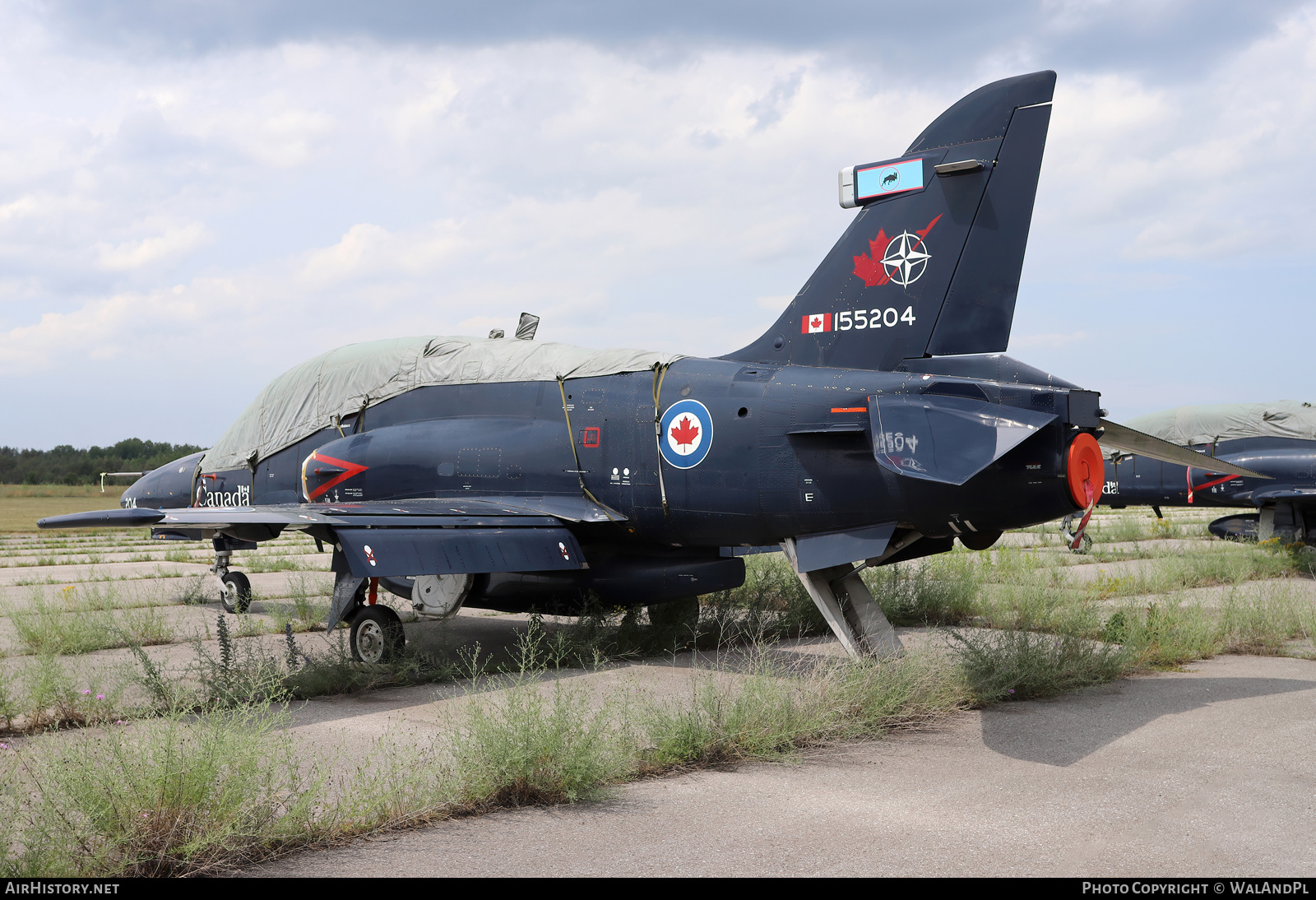 Aircraft Photo of 155204 | BAE Systems CT-155 Hawk | Canada - Air Force | AirHistory.net #831839