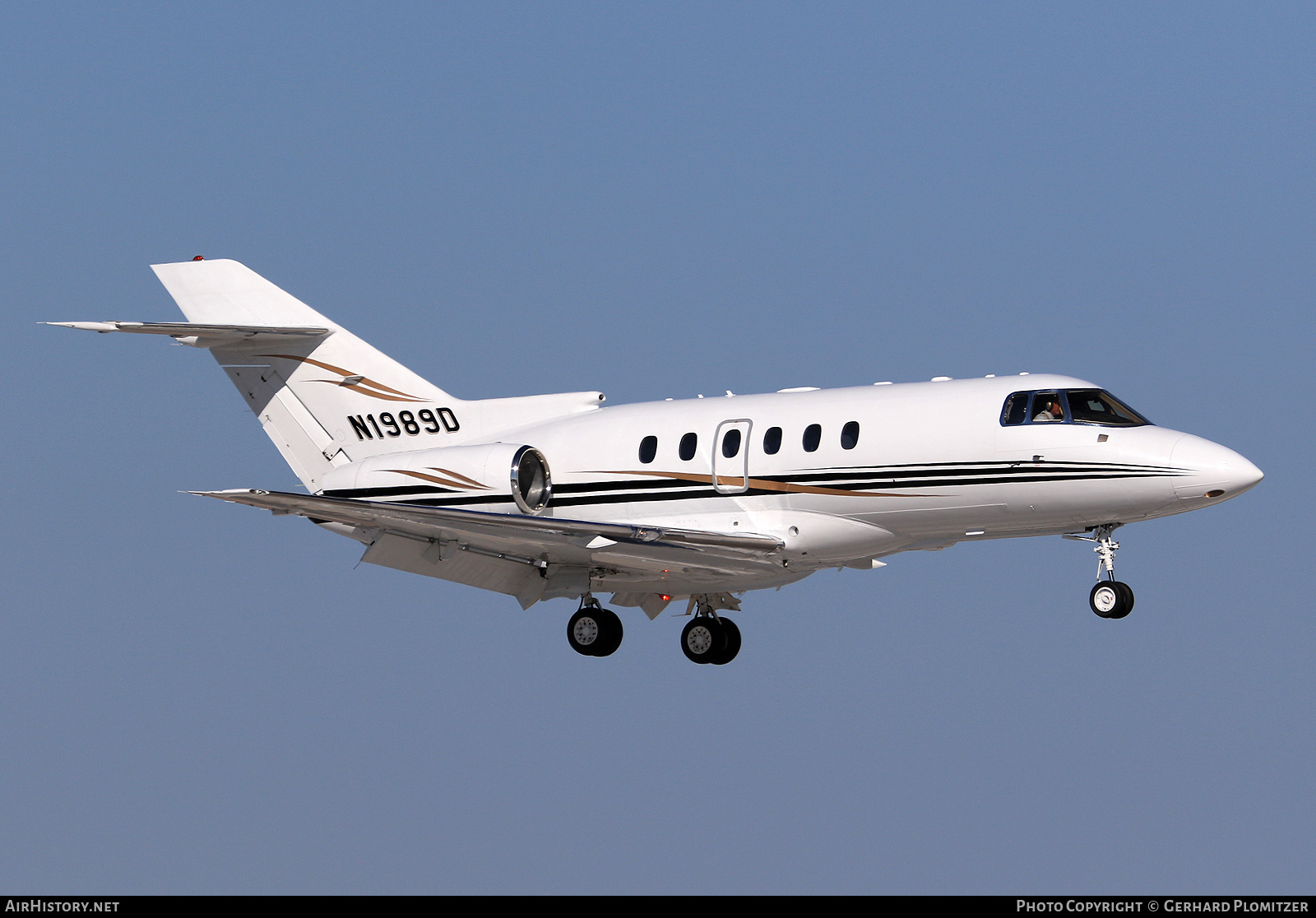 Aircraft Photo of N1989D | Raytheon Hawker 800XP | AirHistory.net #832155
