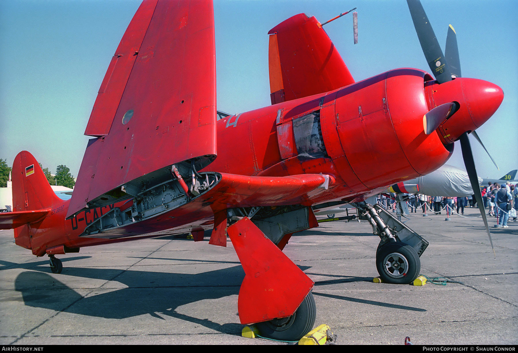 Aircraft Photo of D-CACY | Hawker Sea Fury FB11 | AirHistory.net #832279