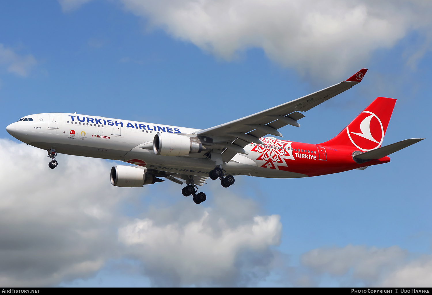 Aircraft Photo of TC-JNB | Airbus A330-203 | Turkish Airlines | AirHistory.net #832908