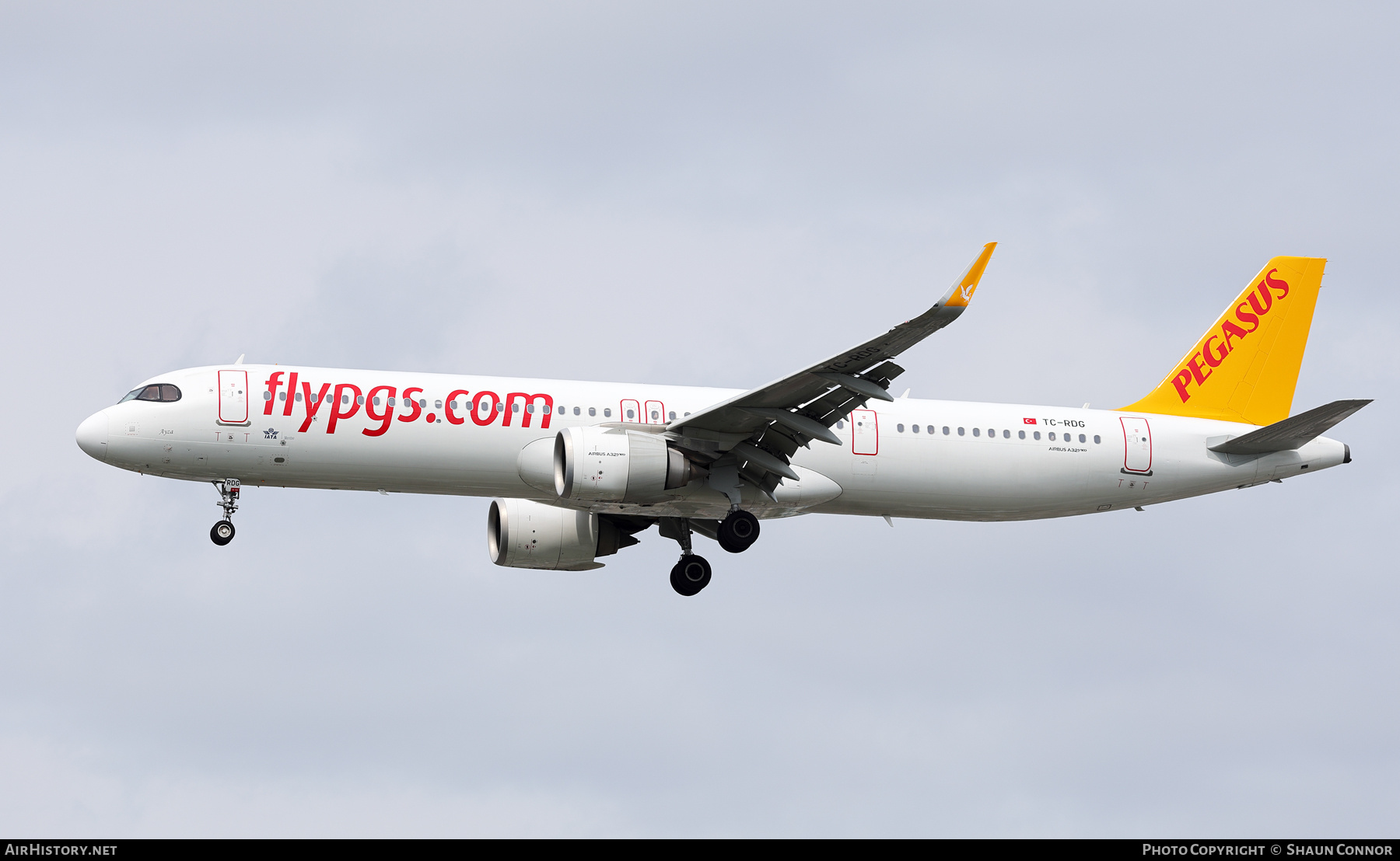 Aircraft Photo of TC-RDG | Airbus A321-251NX | Pegasus Airlines | AirHistory.net #833676