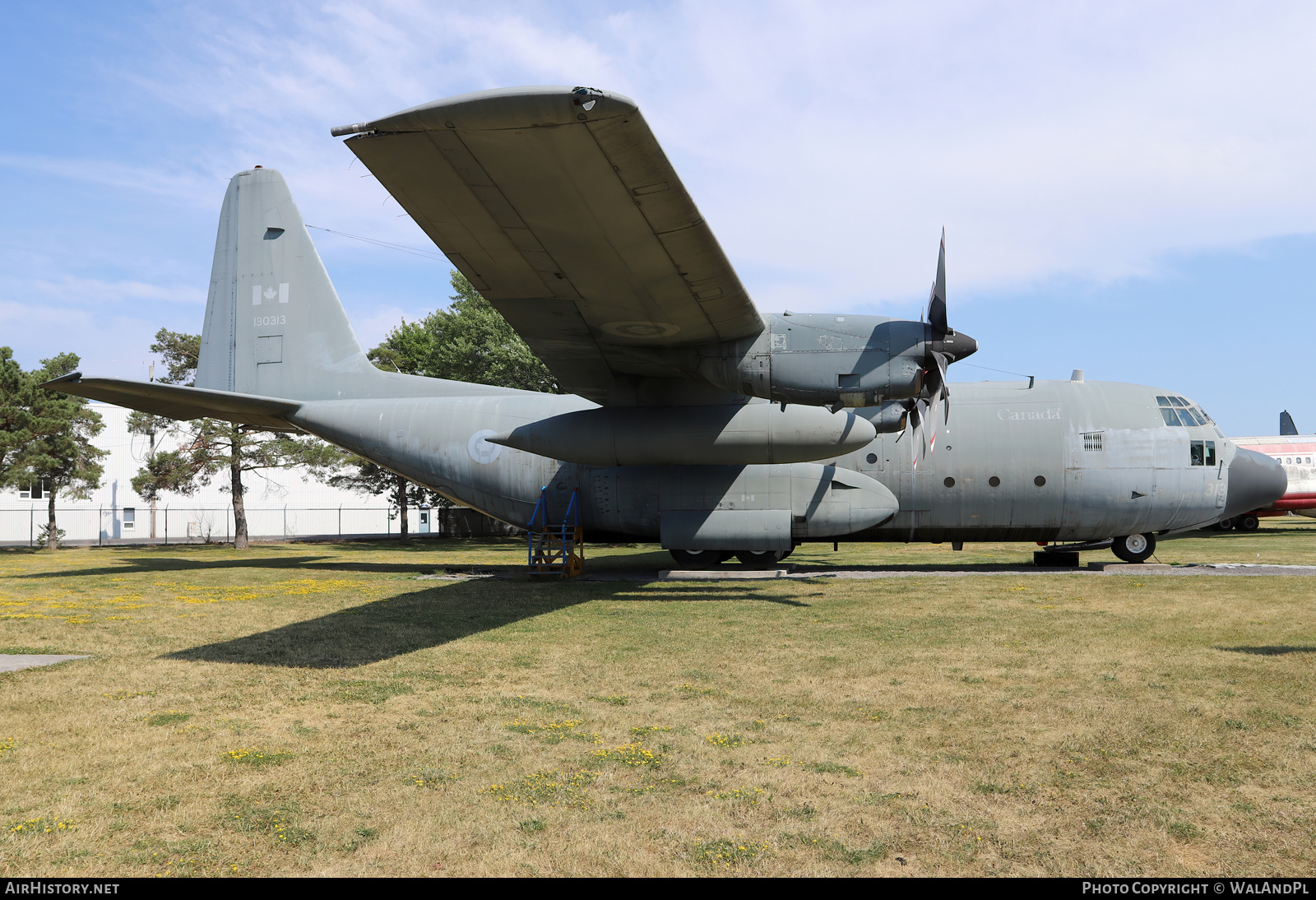 Aircraft Photo of 130313 | Lockheed CC-130E Hercules | Canada - Air Force | AirHistory.net #833810