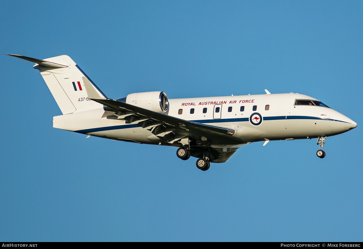 Aircraft Photo of A37-003 | Bombardier Challenger 604 (CL-600-2B16) | Australia - Air Force | AirHistory.net #834979