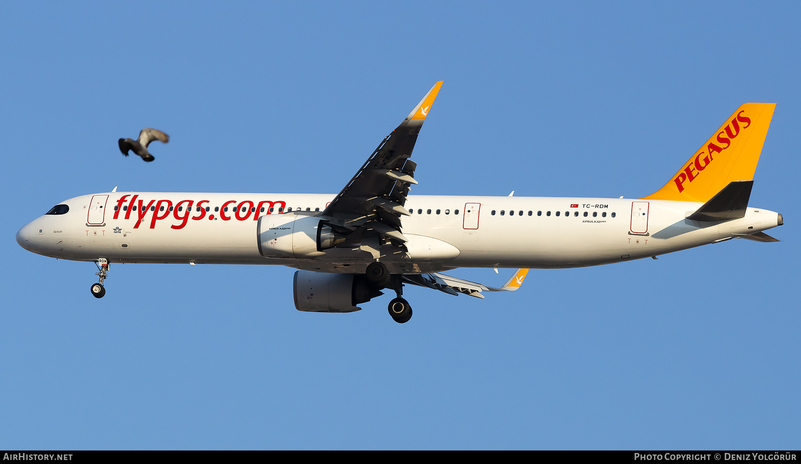 Aircraft Photo of TC-RDM | Airbus A321-251NX | Pegasus Airlines | AirHistory.net #835975
