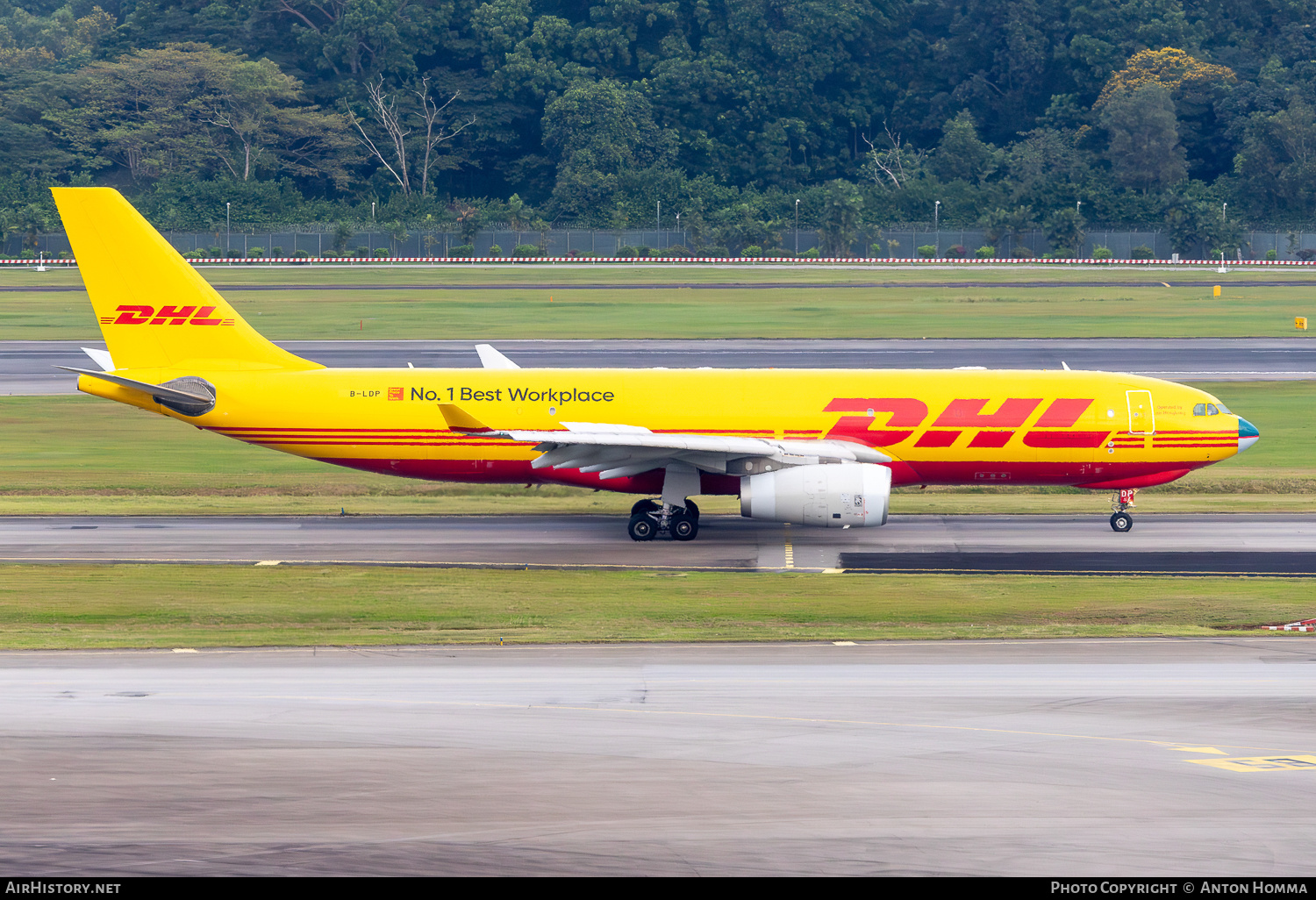 Aircraft Photo of B-LDP | Airbus A330-243F | DHL International | AirHistory.net #837557