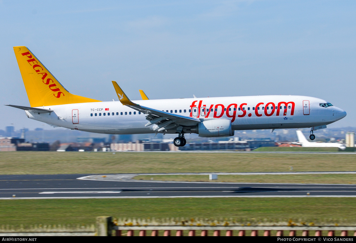 Aircraft Photo of TC-CCP | Boeing 737-86J | Pegasus Airlines | AirHistory.net #838128