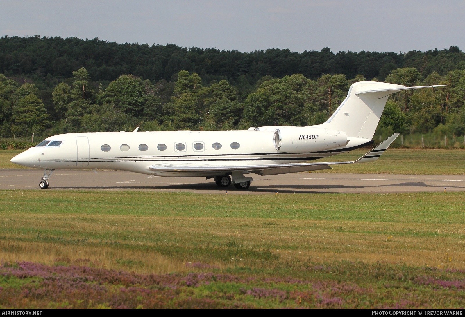 Aircraft Photo of N645DP | Gulfstream Aerospace G650 (G-VI) | AirHistory.net #839205