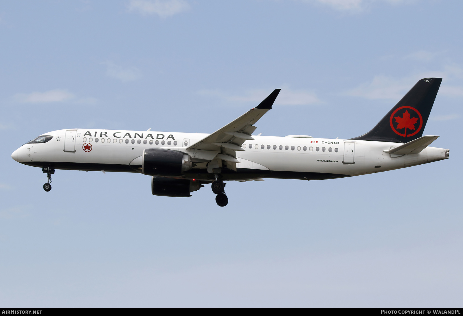 Aircraft Photo of C-GNAM | Airbus A220-371 (BD-500-1A11) | Air Canada | AirHistory.net #839844