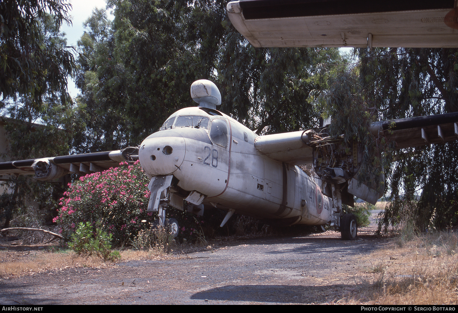 Aircraft Photo of MM136558 | Grumman S2F-1 Tracker | Italy - Air Force | AirHistory.net #839903