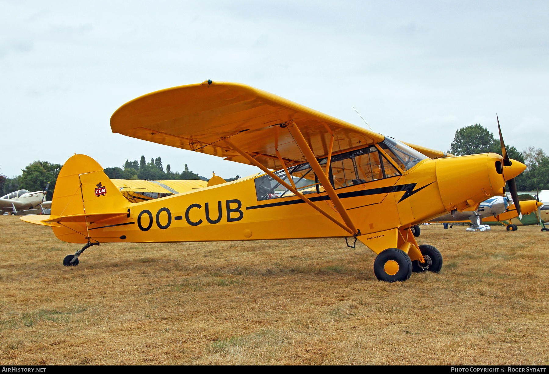 Aircraft Photo of OO-CUB | Piper L-21B Super Cub | AirHistory.net #840626