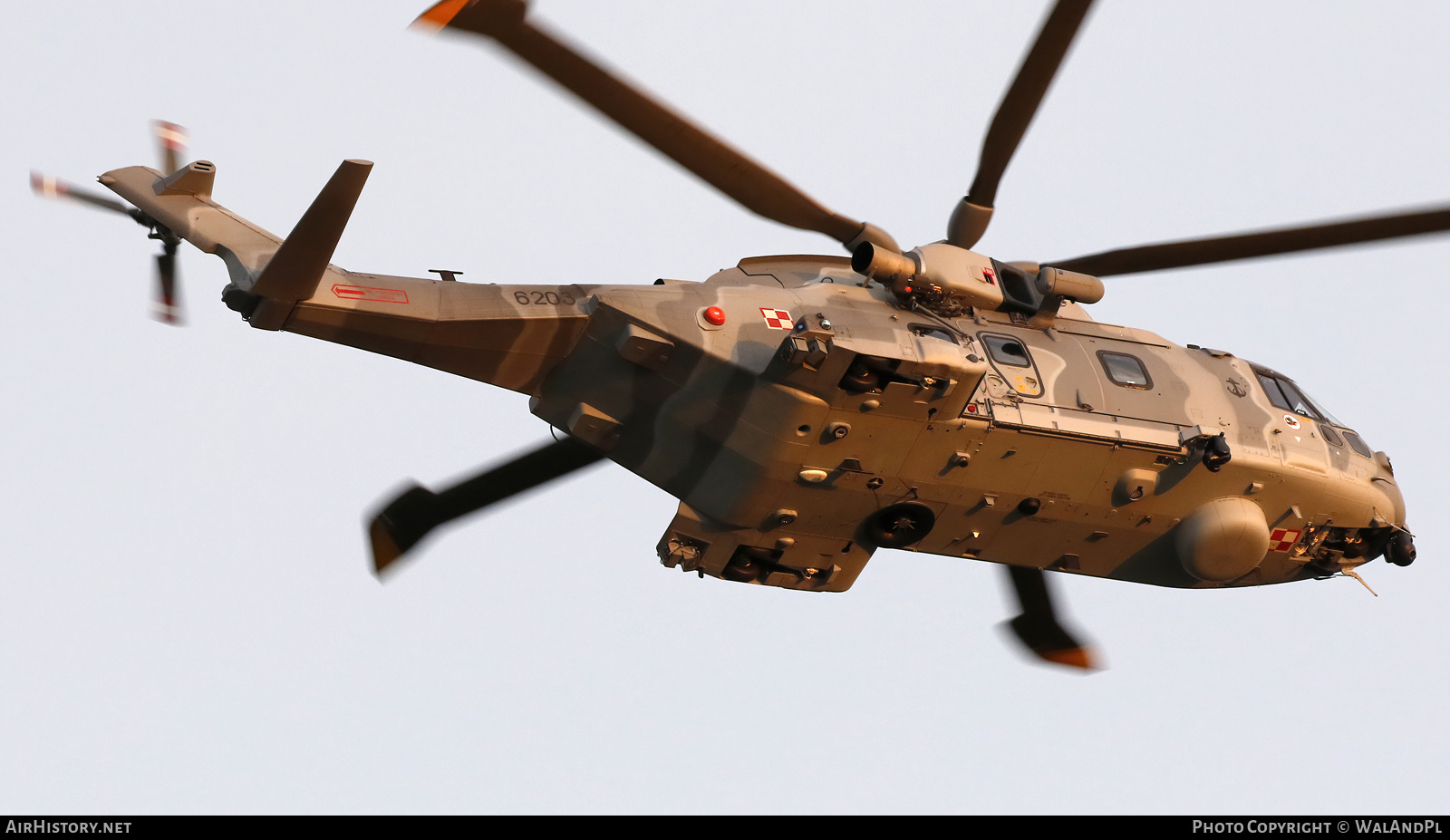 Aircraft Photo of 6203 | AgustaWestland AW101-614 | Poland - Navy | AirHistory.net #841421