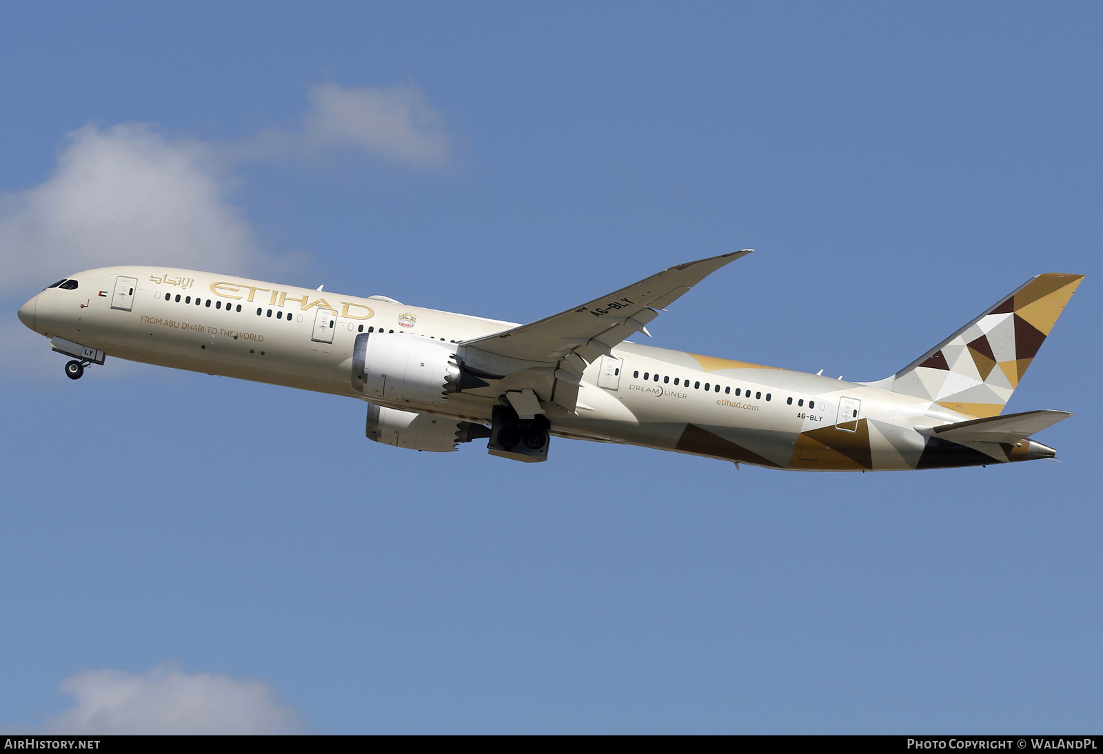 Aircraft Photo of A6-BLY | Boeing 787-9 Dreamliner | Etihad Airways | AirHistory.net #841925