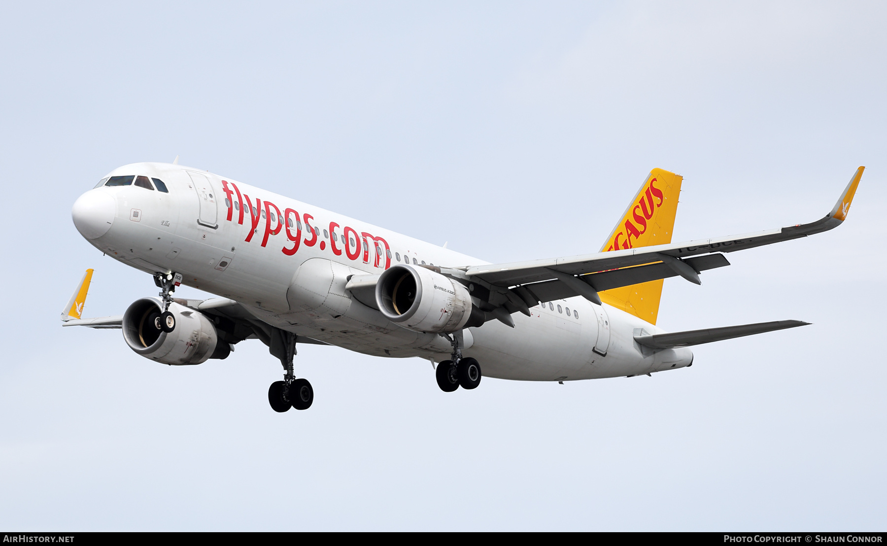 Aircraft Photo of TC-DCE | Airbus A320-214 | Pegasus Airlines | AirHistory.net #844067