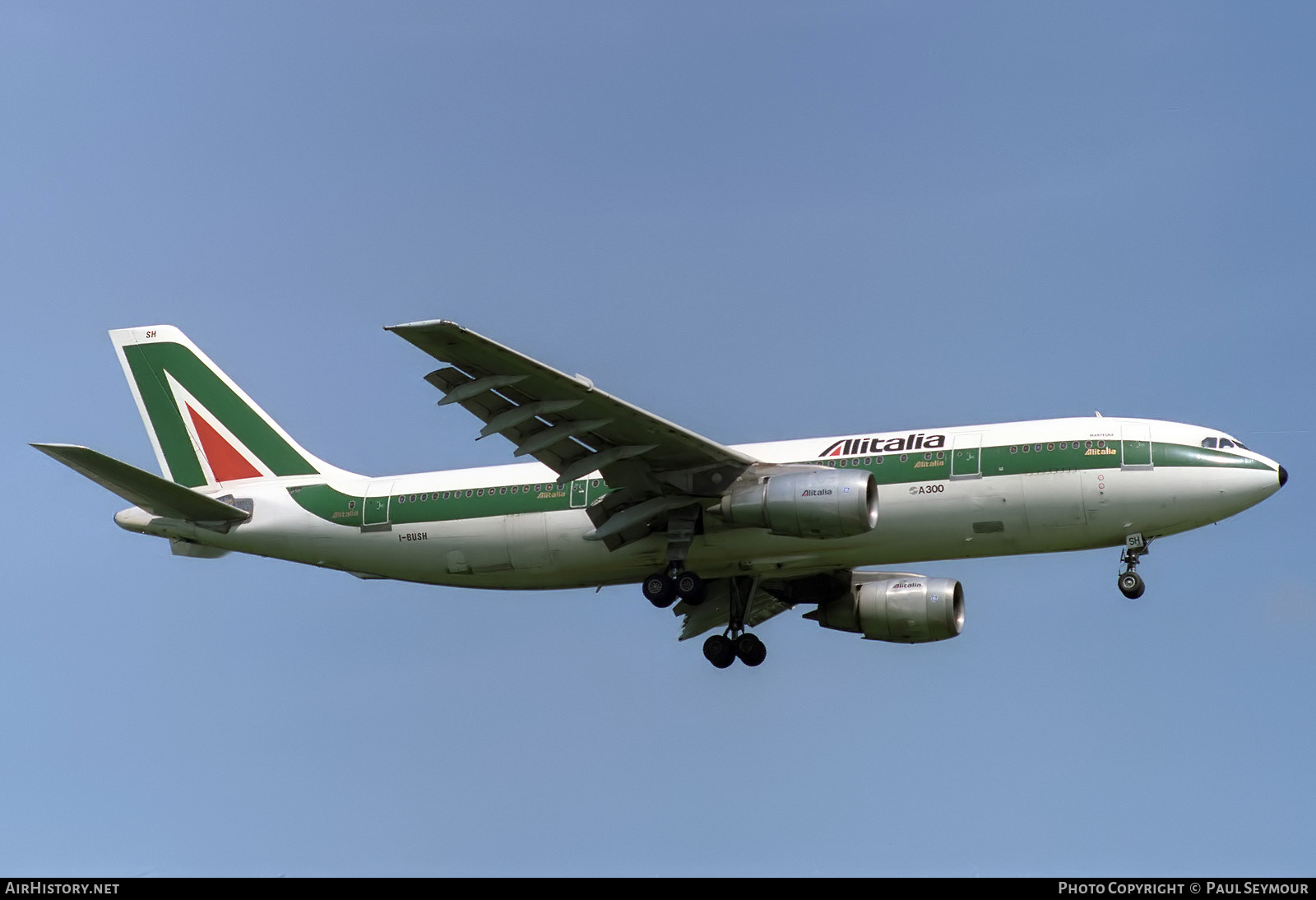 Aircraft Photo of I-BUSH | Airbus A300B4-203 | Alitalia | AirHistory.net #844188