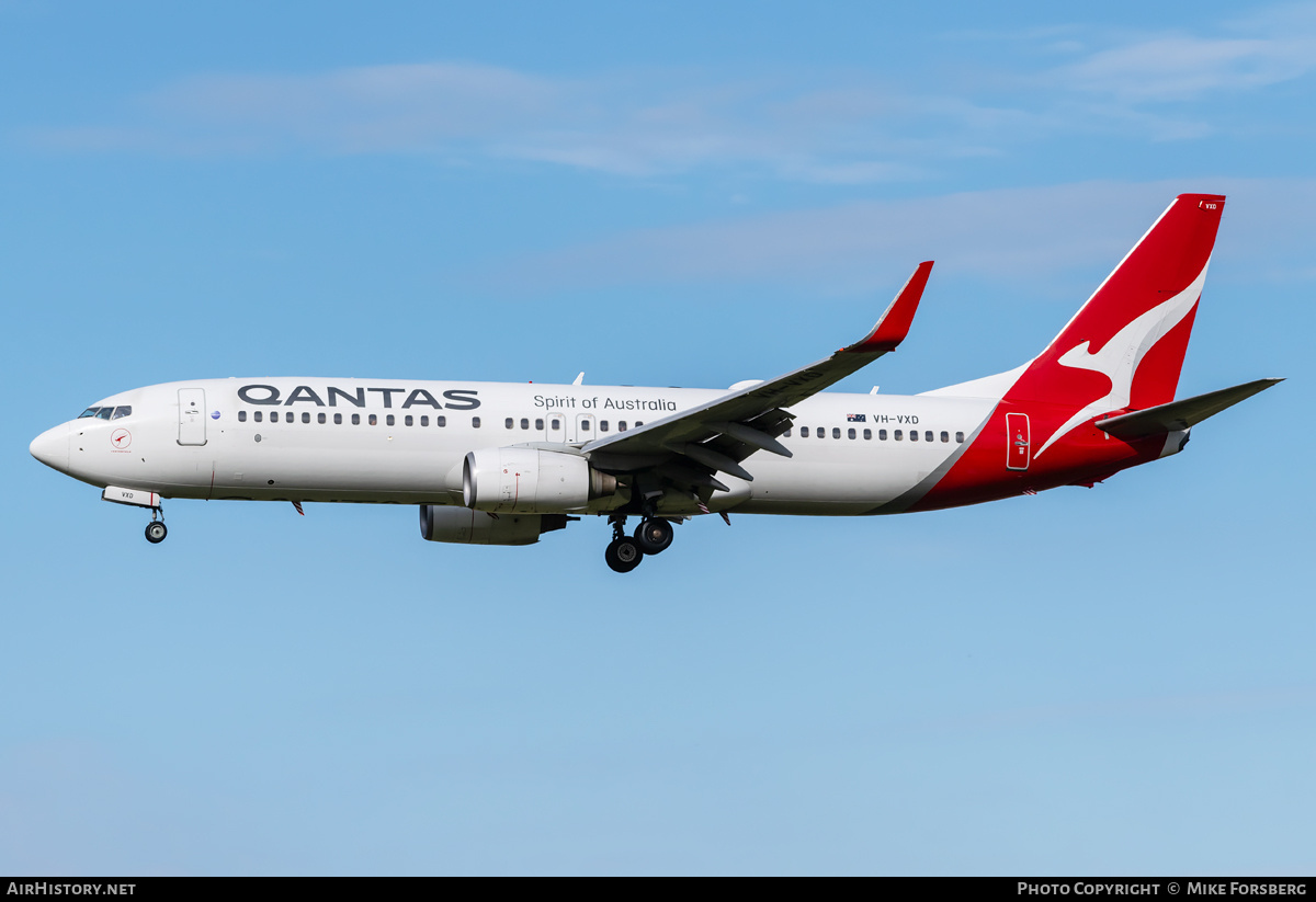 Aircraft Photo of VH-VXD | Boeing 737-838 | Qantas | AirHistory.net #851529