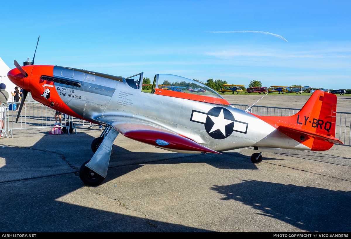 Aircraft Photo of LY-BRQ | ScaleWings SW-51 Mustang | USA - Air Force | AirHistory.net #852350