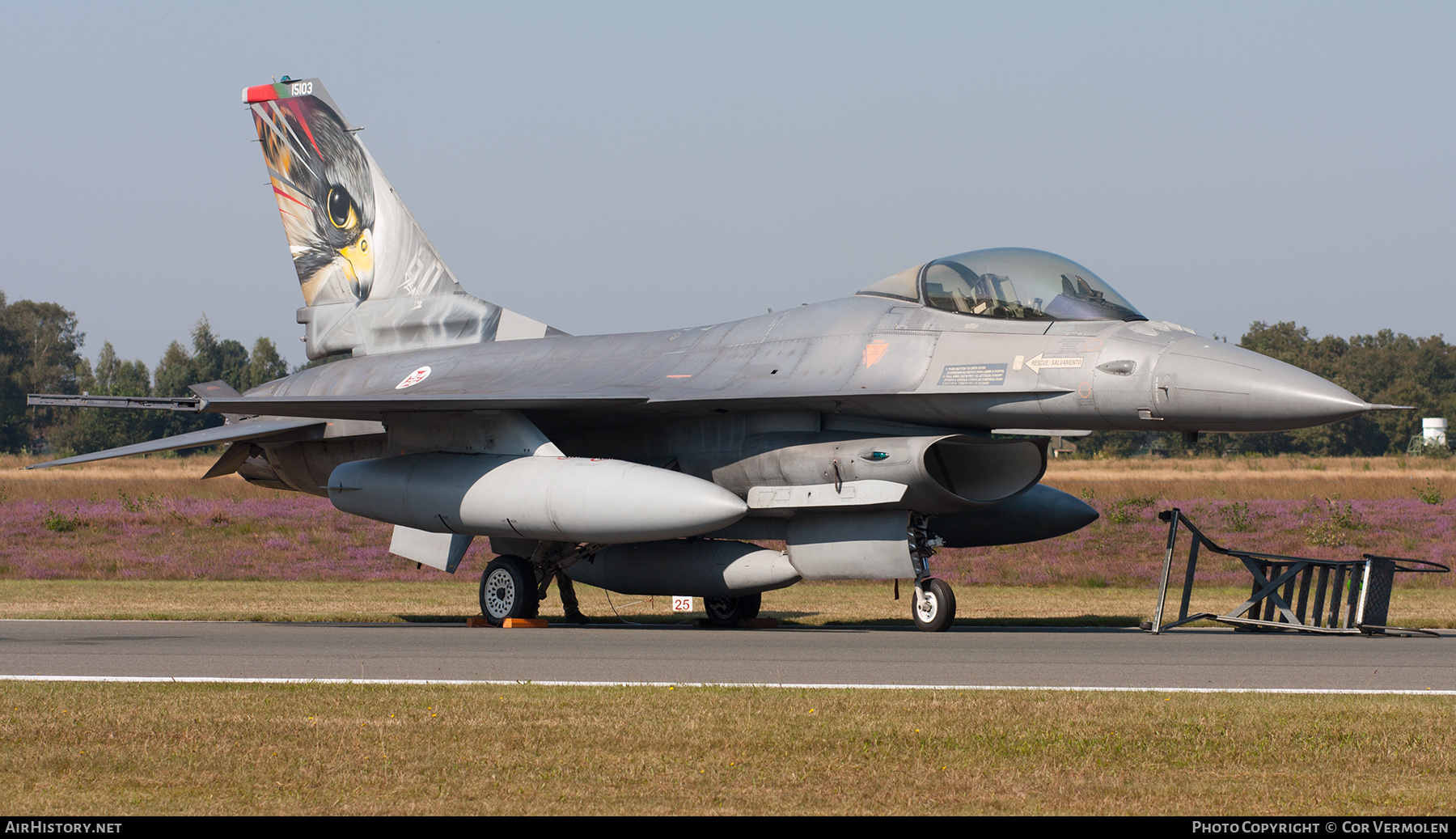 Aircraft Photo of 15103 | Lockheed F-16AM Fighting Falcon | Portugal - Air Force | AirHistory.net #853188