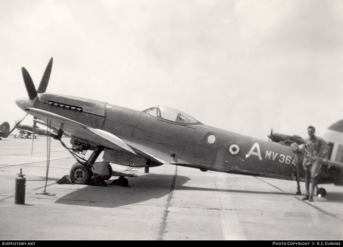 Aircraft Photo of MV364 | Supermarine 379 Spitfire FR14 | UK - Air Force | AirHistory.net #853480