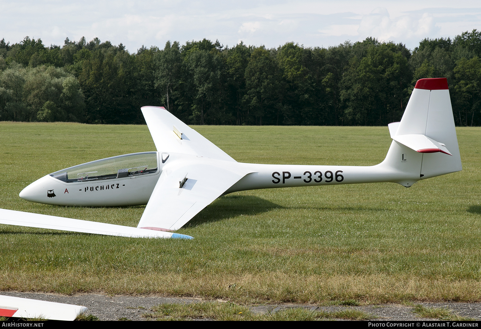 Aircraft Photo of SP-3396 | PZL-Bielsko SZD-50-3 Puchacz | AirHistory.net #859261