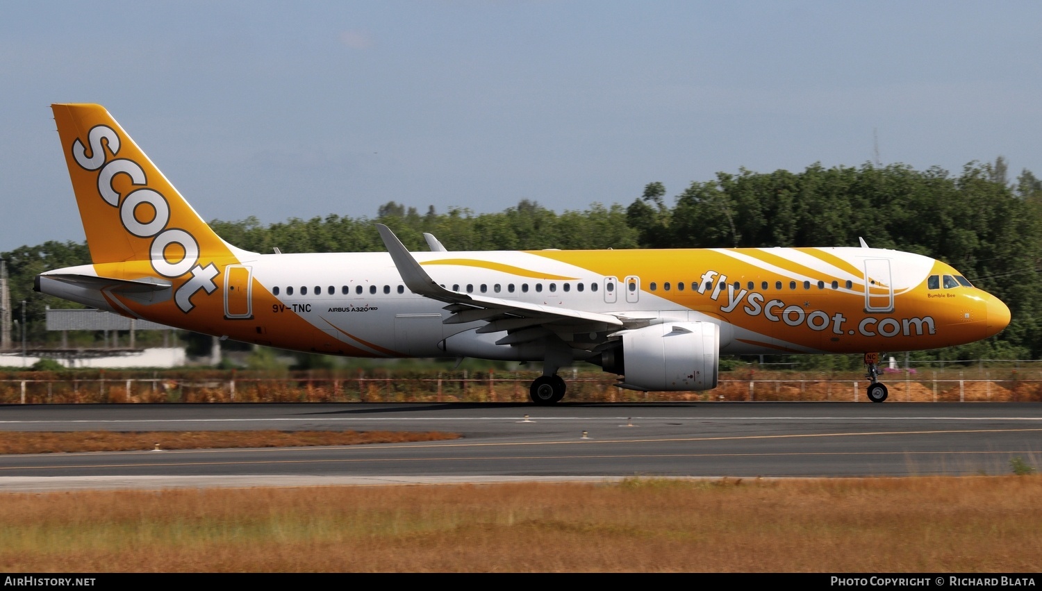 Aircraft Photo of 9V-TNC | Airbus A320-271N | Scoot | AirHistory.net #860054