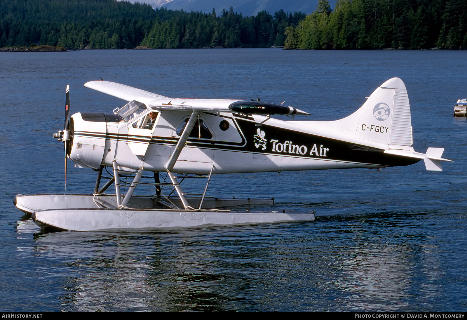 Aircraft Photo of C-FGCY | De Havilland Canada DHC-2 Beaver Mk.1 | Tofino Air | AirHistory.net #869307