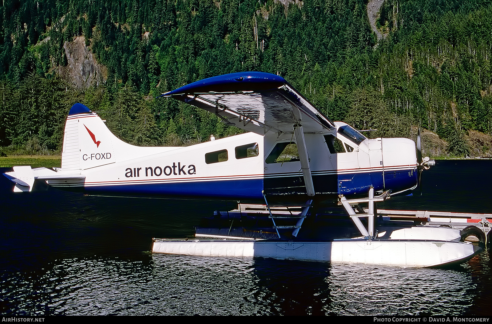 Aircraft Photo of C-FOXD | De Havilland Canada DHC-2 Beaver Mk.1 | Air Nootka | AirHistory.net #871573